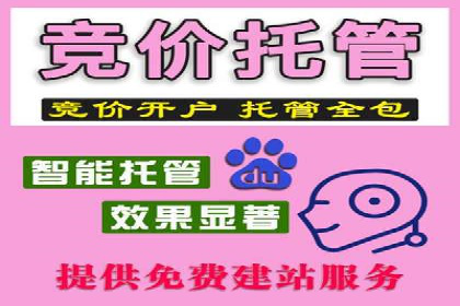 SEM主管案例：广告投放效果提升